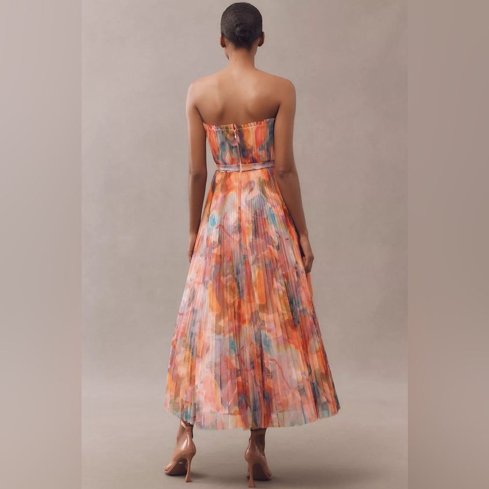 Hutch Strapless Pleated Chiffon Maxi Dress - Picture 2 of 4